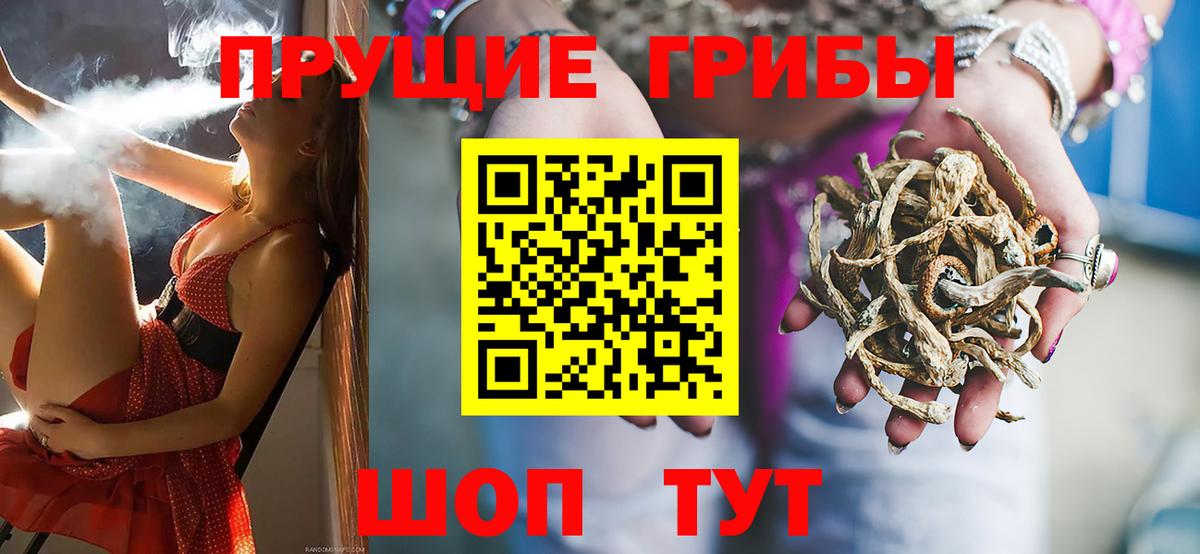 Старая Купавна  Псилоцибиновые грибы MAGIC MUSHROOMS  Галлюциногенные грибы Psilocybine cubensis  наркота  Вход с VPN 