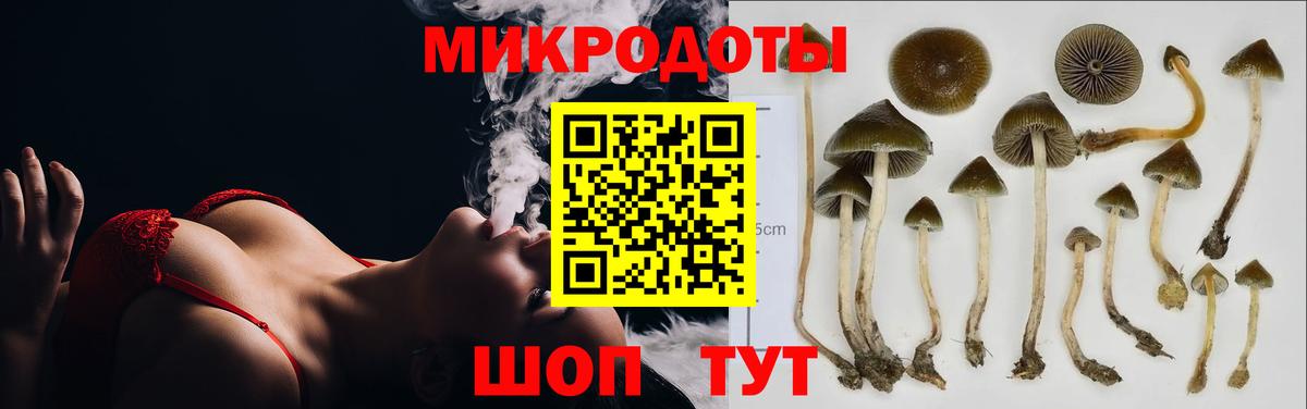 Галлюциногенные грибы Magic Shrooms Старая Купавна
